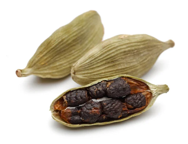 Semillas de cardamomo sobre fondo blanco . — Foto de Stock