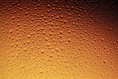 Bira ya da portakal arka plan