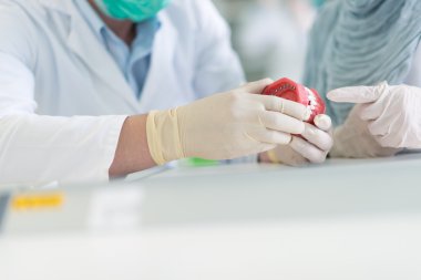 Takma diş üzerinde çalışan Diş Protez öğrenciler