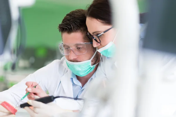 Étudiants en stomatologie travaillant avec soin sur des modèles anatomiques — Photo