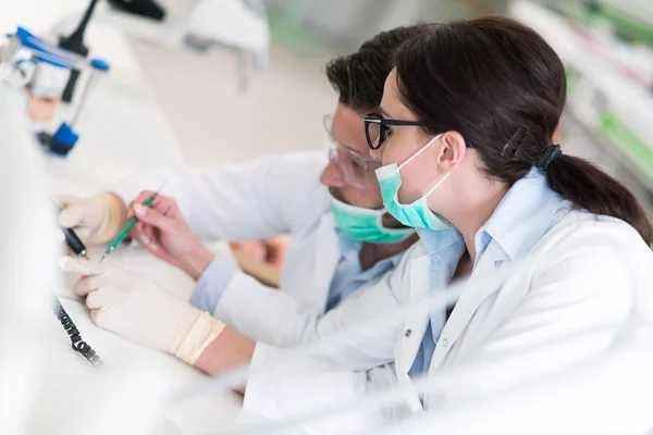 Stomatology students working carefully on anatomical models — Stockfoto