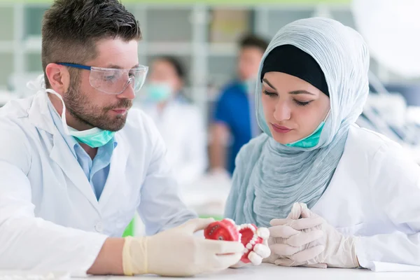 Estudiantes de prótesis dentales trabajando en la prótesis dental — Foto de Stock