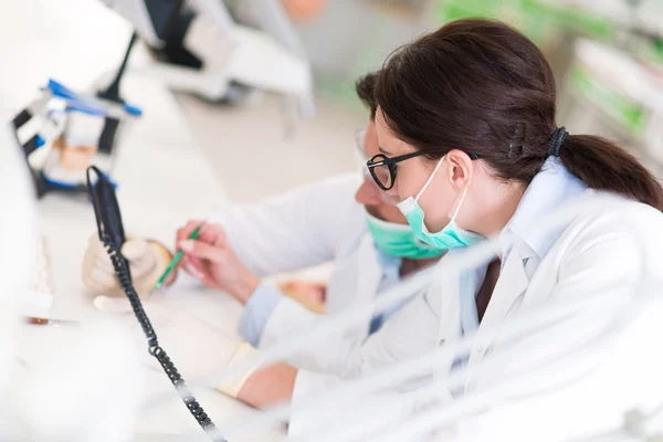 Stomatology students working carefully on anatomical models — Stockfoto