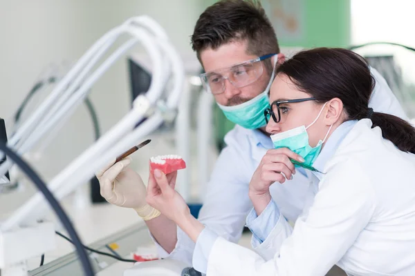 Студенти стоматології ретельно працюють над анатомічними моделями — стокове фото