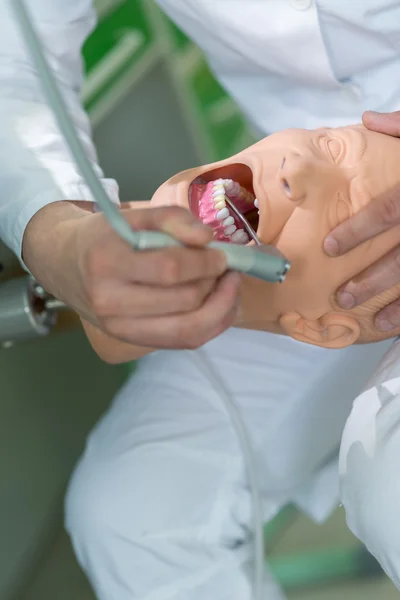 Estudante de Odontologia praticando em boneca . — Fotografia de Stock