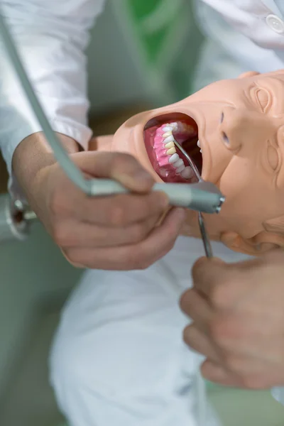 Οδοντιατρική φοιτητής εξάσκηση στην κούκλα. — Φωτογραφία Αρχείου