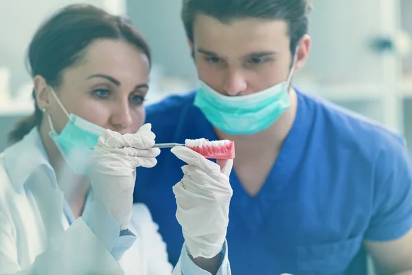 Estudiantes dentales mientras trabajan en la dentadura postiza —  Fotos de Stock