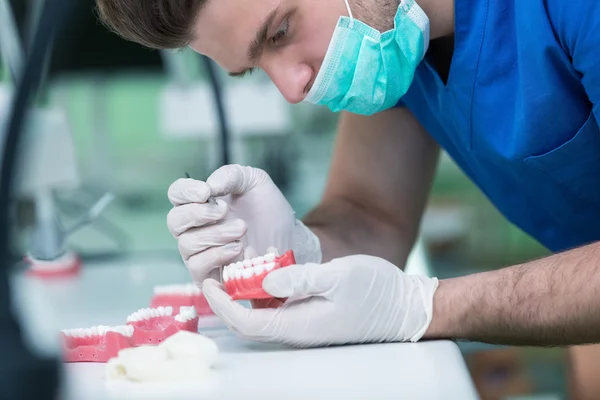 Prostesis gigi yang bekerja pada dentur Stok Gambar