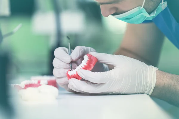 Estudiantes dentales mientras trabajan en la dentadura postiza Fotos De Stock