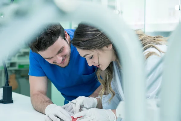 Prótese dentária trabalhando na prótese dentária — Fotografia de Stock