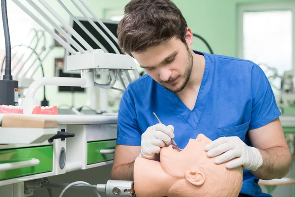 Bebek üzerinde pratik diş öğrenci. 