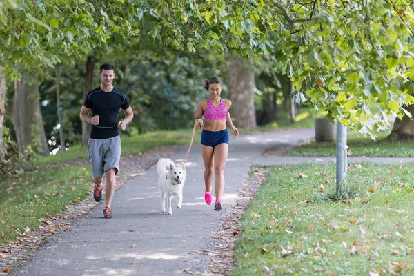 parkta çalışan köpek ile genç Çift,