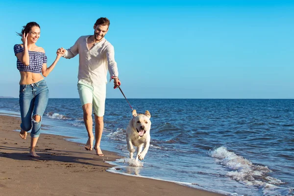 Coppia felice con cane in spiaggia — Foto Stock