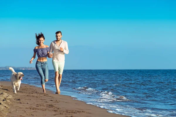 Casal feliz com cão na praia — Fotografia de Stock