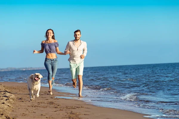 Šťastný pár se psem na pláži — Stock fotografie