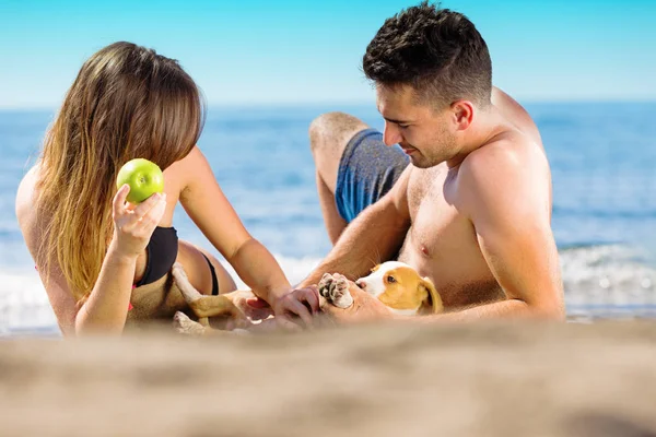 Casal deitado na praia com o cão — Fotografia de Stock