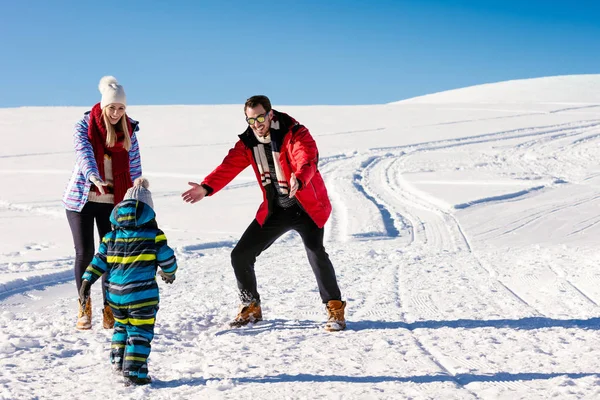 Família se divertindo em um inverno — Fotografia de Stock