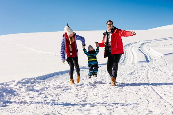 Família se divertindo em um inverno — Fotografia de Stock