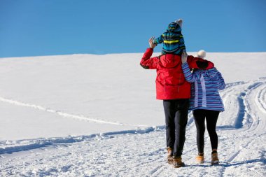bir kış Park eğlenmek aile 