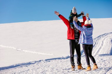 bir kış Park eğlenmek aile 