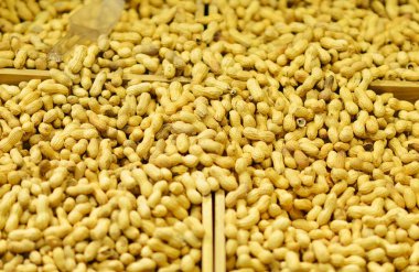 Fıstık kabukları bakkal.