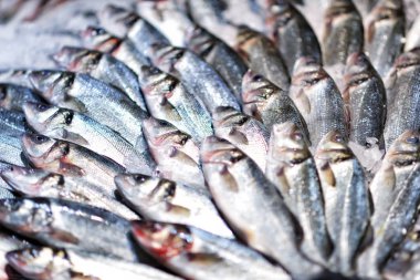 Deniz buz Market ürünleri