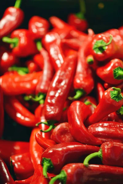 Chili paprika, piaci bódé — Stock Fotó