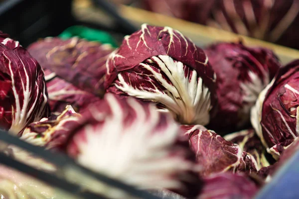 Frische Rotkohl — Stockfoto