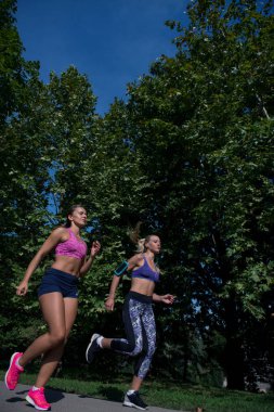 Atletik kadınlar egzersiz 