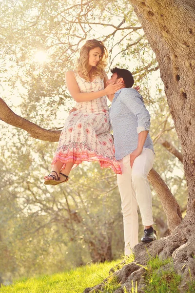 Pareja relajarse bajo el árbol. Estilo de arte. Huerto de aceitunas . — Foto de Stock