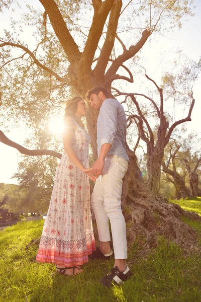 Pareja relajarse bajo el árbol. Estilo de arte. Huerto de aceitunas . — Foto de Stock