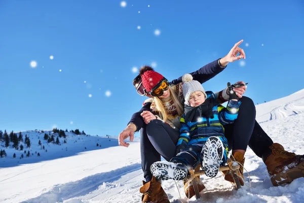 幸福的家庭骑雪橇在冬季木材，开朗的冬季娱乐 — 图库照片