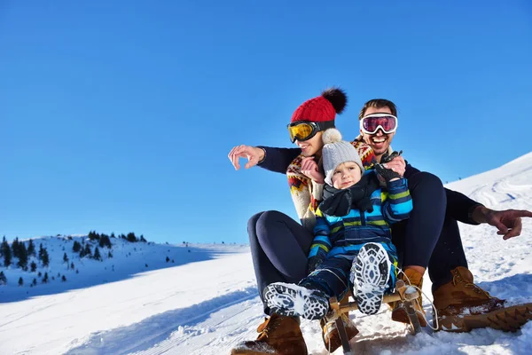 The happy family rides the sledge in the winter wood, cheerful winter entertainments — Stock Photo, Image