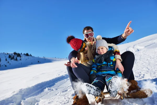 Den lyckliga familjen Rider släden i vinter trä, glad vinter nöjen — Stockfoto