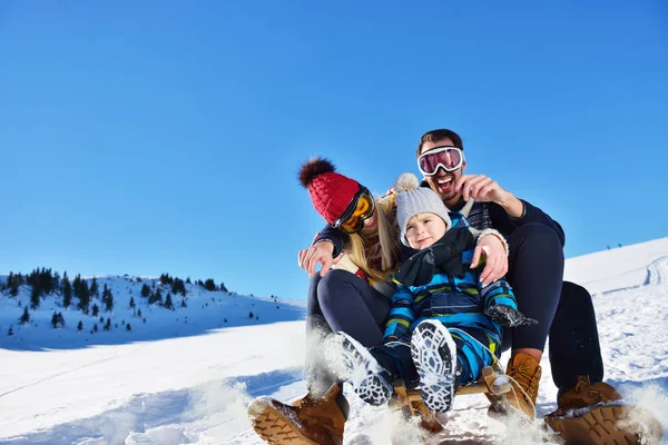 The happy family rides the sledge in the winter wood, cheerful winter entertainments — Stock Photo, Image
