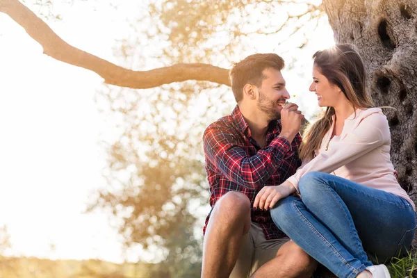 büyük ağacın altında mutlu çift