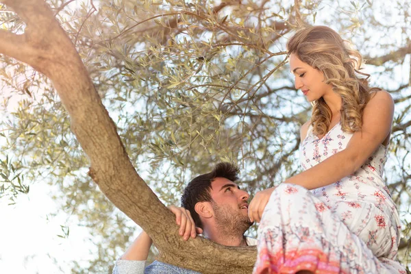 Pasangan bahagia di pohon besar — Stok Foto