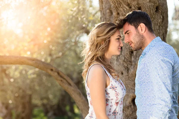 büyük ağacın altında mutlu çift