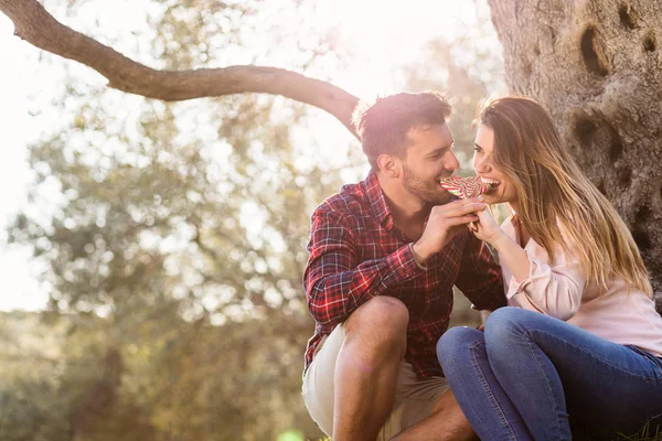 Feliz pareja bajo gran árbol — Foto de Stock