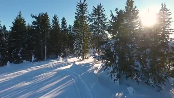 Sneeuw winterlandschap. Luchtfoto vliegen over. sneeuw van de majestueuze bergen. toerisme resort natuur — Stockvideo
