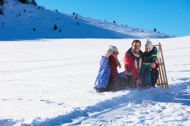 kızak kış Wood, neşeli kış eğlenceleri mutlu aile rides