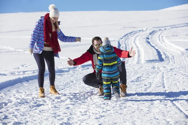 Приваблива сім'я розважається в зимовому парку на горі — стокове фото