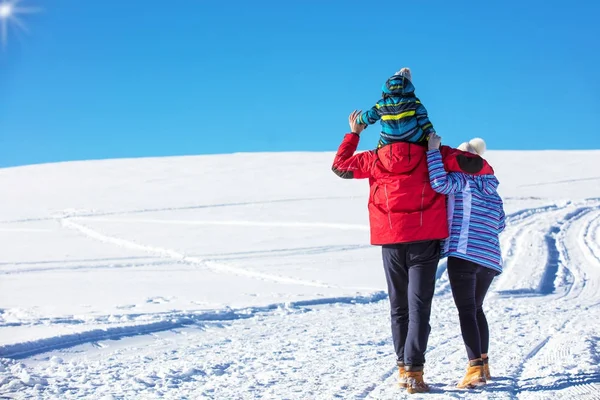 Çekici aile eğleniyor bir kış parkta dağda