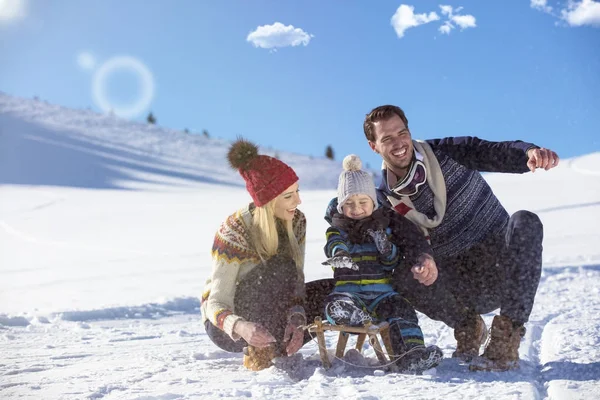 A família feliz monta o trenó na madeira de inverno, entretenimentos de inverno alegres — Fotografia de Stock