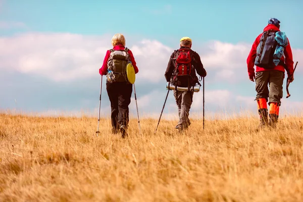 Dikiz atış hiking yaz tatili sırasında kırsalında genç arkadaşlar. Grup doğada yürüyüş yürüyüşçü. — Stok fotoğraf