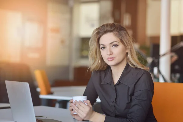 Portrait d'un employeur joyeux d'entreprise profitant d'un processus de travail créatif dans un bureau moderne à l'intérieur — Photo