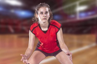 Kadın profesyonel voleybolcu Voleybol sahası