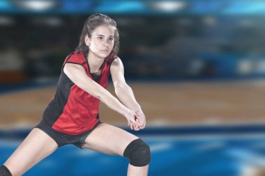Kadın profesyonel voleybolcu Voleybol sahası