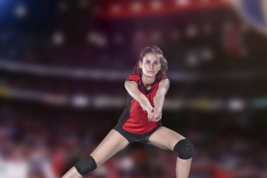 Kadın profesyonel voleybolcu Voleybol sahası