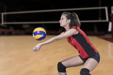 Kadın profesyonel voleybolcu Voleybol sahası